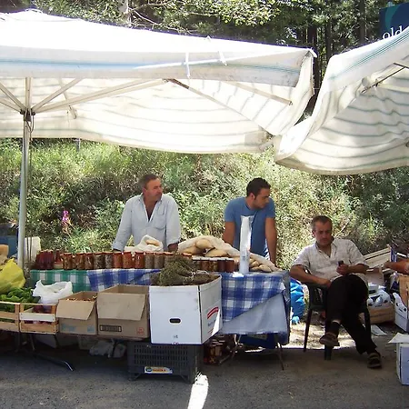 公寓 Lago Sila Calabria 洛里卡